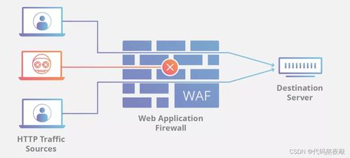 網絡與信息安全軟件開發中的編程語言選擇指南